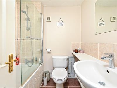 Picture 8